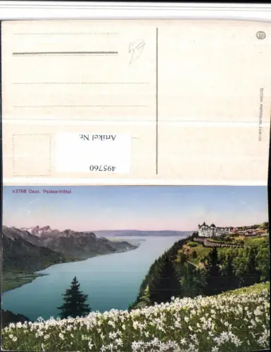 495760,Caux Palace Hotel Blumenwiese See Kt Waadt