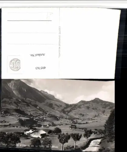 495763,Chateau d'Oex vu de la route Etivaz Totale Bergkulisse Kt Waadt