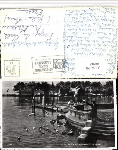 502963,Ouchy-Lausanne Le quai Möwen 40 Comptoir 1959 Stempel Kt Waadt