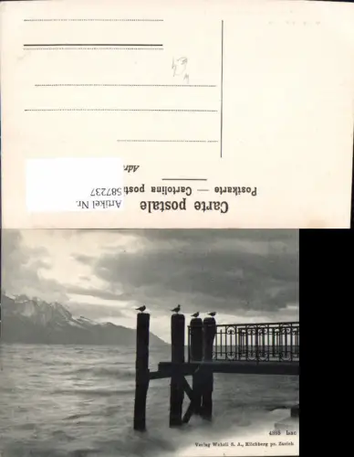 587237,Lac Leman Vögel Steg Anleger Vevey Switzerland