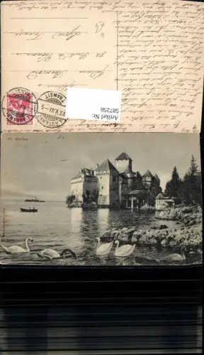587250,Veytaux Schloss Chateau Chillon Schwan Switzerland