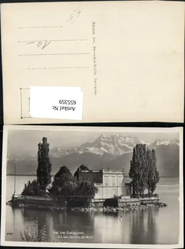655359,Foto Montreux Ak Ile de Salagnon et les Dents du Midi