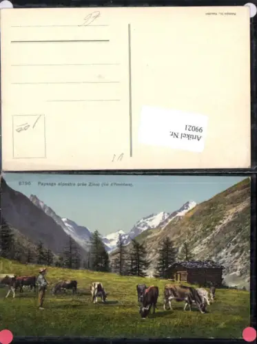 99021,Paysage alpestre pres Zinal Kuh Kühe Kt Wallis