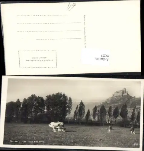 99277,Sion et Valere Kuh Kühe Kt Wallis