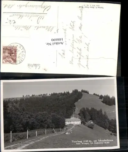 108690,Tierhag am Schnebelhorn Fischenthal Kt Wallis Steg
