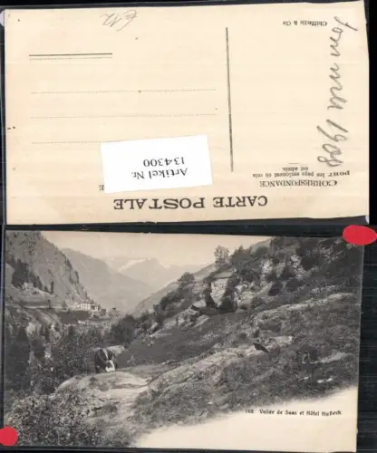 134300,Vallee de Saas Fee et Hotel Huteck Kt Wallis