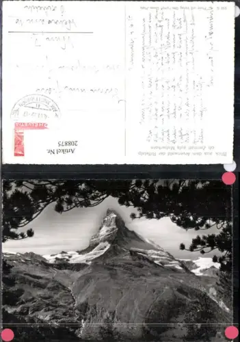 208875,Blick a. d. Arvenwald d. Riffelalp ob Zermatt aus Matterhorn Kt Waalis