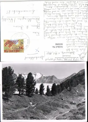503090,Aletschwald b. Riederalp Landschaft Bergkulisse Kt Wallis