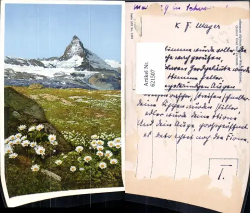 621507,Zermatt Matterhorn Blumen Alpen-Wucherblume i. Vordergrund pub Photochromie 578/1473