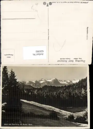 620392,Foto Ak Blick v. Zugerberg Restaurant Hotel auf Berner Alpen b. Zug