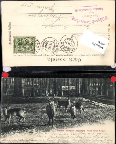 78660,Sihltal Wildpark Langenberg Hirsch Gruppe Kt Zürich