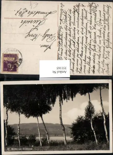 351165,Birken am Greifensee Bäume Partie Kt Zürich