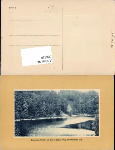 586510,Pfäffikon Luppmen-Weiher a. Guyer-Zeller Weg