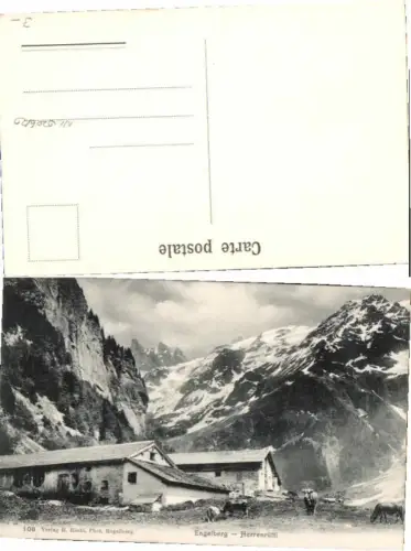 59125,Engelberg Herrenrüttli Kühe Kuh