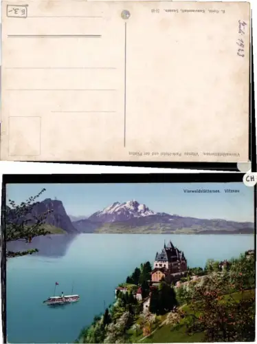 60873,Vierwaldstättersee Vitznau Dampfer 1915 Park Hotel
