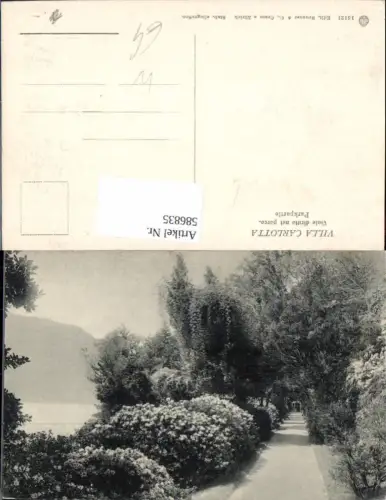 586835,Tremezzo Villa Carlotta Viale diritto nel parco Parkpartie Switzerland