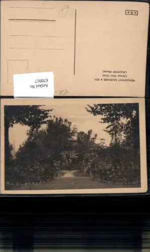 670917,Lausanne Rosiaz Chateau Mont Choisi Garten Palme Switzerland