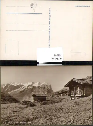 705362 Foto AK Innertkirchen Engstlenalp mit Berneralpen
