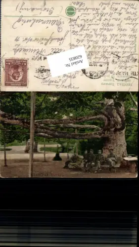 620835,Belgrad Belgrade Beograd Serbia Yugoslavia Baum Großer Baum Tree Soldaten