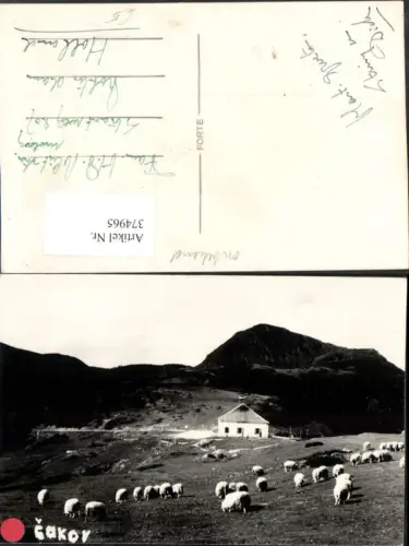 374965,Slovakia Cakov Berghütte Schafherde Schafe Bergkulisse