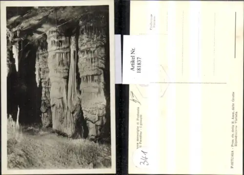 181837,Postumia Le nuove meraviglie di Postumia Grotta del Paradiso I gemelli