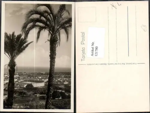 121780,Cruz de Tenerife Tenerifa Palmen