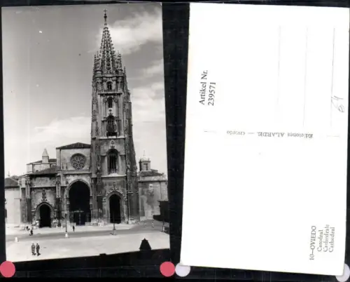239571,Oviedo Catedral Kirche
