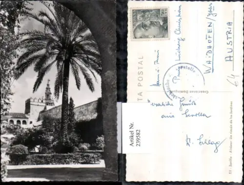 239582,Sevilla Alcazar Un rincon de los Jardines Palme