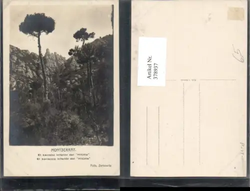 378937,Spain Montserrat El barranc inferior del Mitjdia Felswand Bäume