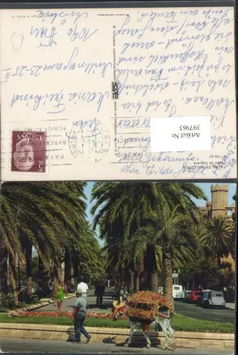 397963,Spain Palma de Mallorca Paseo de Sagrera Esel Palmen