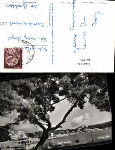 442195,Spain Mallorca Paguera Vista Parcial Teilansicht