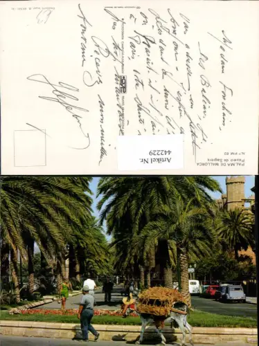 442229,Spain Palma de Mallorca Paseo de Sagrera Allee Palmen Packesel