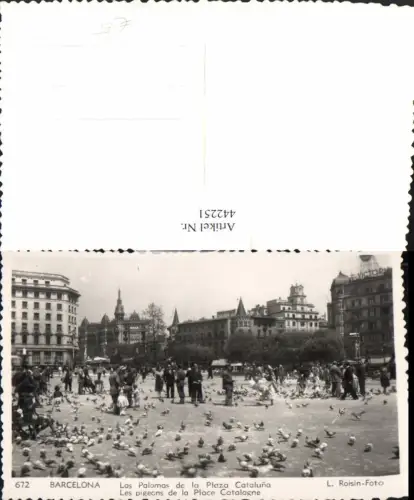 442251,Spain Barcelona Las Palomas de la Plaza Cataluna Tauben Platz