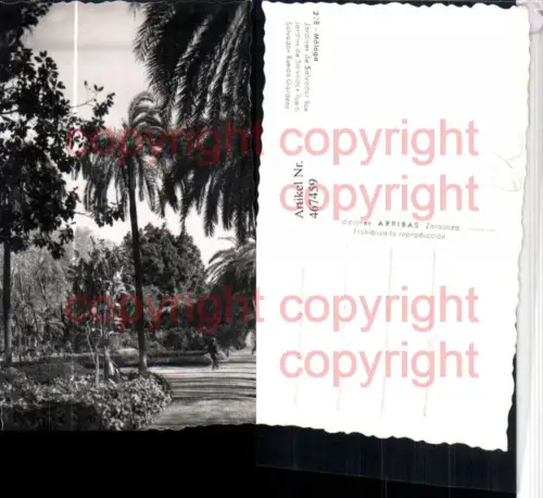 467459,Spain Malaga Jardines de Salvador Rueda Park Garten