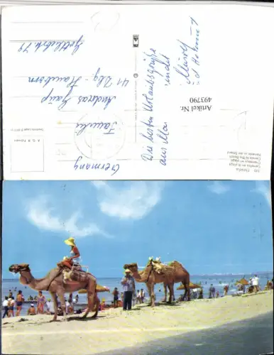 493790,Spain Camellos en la playa Strandleben Strand Kamele