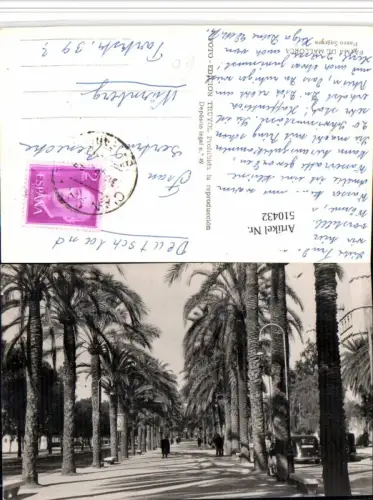 510432,Spain Palma de Mallorca Paseo Sagrera Straßenansicht Allee Palmen