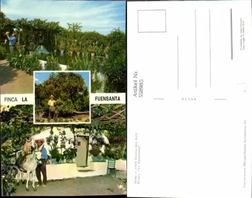 558985,Mehrbild Ak Spain Coin Costa del Sol Finca La Fuensanta Esel