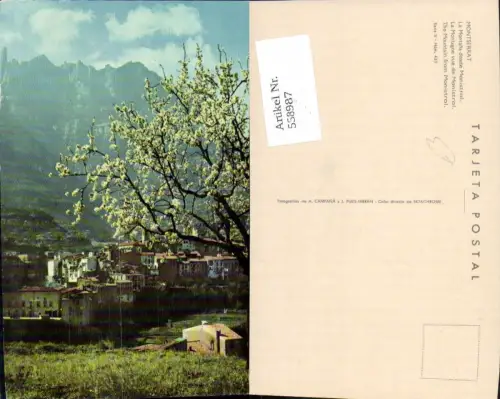 558987,Spain Montserrat La Montana desde Monistrol Baumblüte