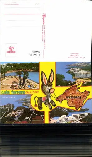 560625,Mehrbild Ak Spain Mallorca Cala Ferrera Cala d Or Esel