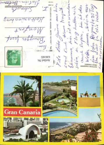 636165,Mehrbild Ak Gran Canaria Palme Strand Kamel Spain