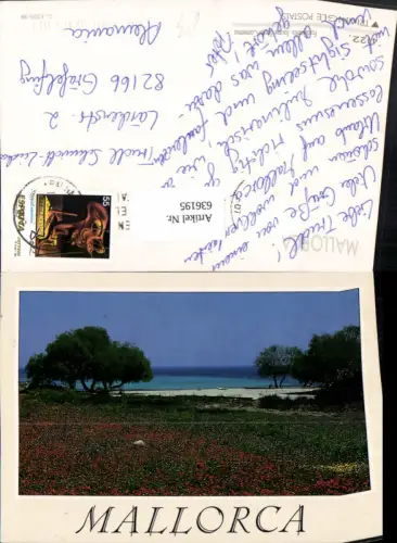 636195,Mallorca Strand Küste Blumen i. Vordergrund Spain