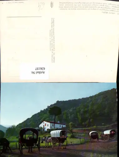 636197,Mas Bufi San Jaime Kutschen Tiergespann Spain