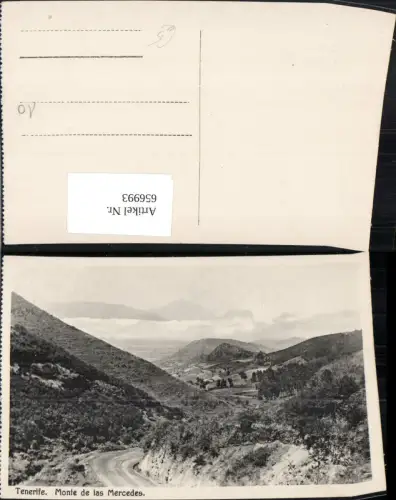 656993,Tenerife Monte de las Mercedes Teneriffa Spain