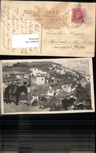 697594 Spain Malaya Aran Canaria Aran Esel