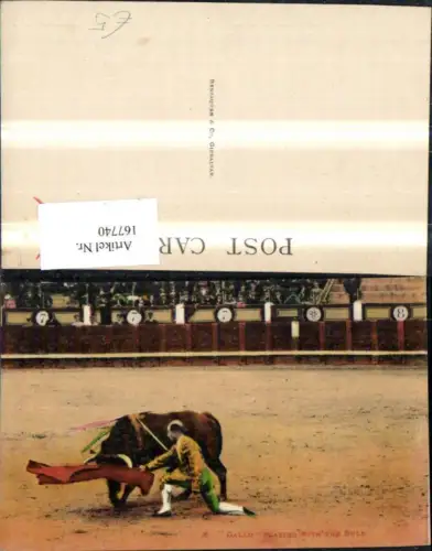 167740,Gallo Playing with the Bull Stierkampf Arena Stier Torero