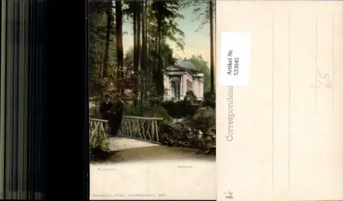 533045,Marienbad Waldquelle Quelle pub Poy 4317a