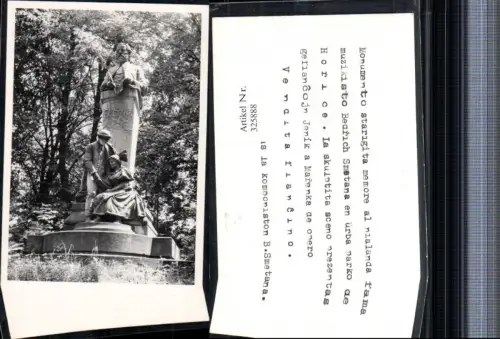 325888,Foto AK Horschitz Horice v Podkrkonosi Monument Denkmal Bearich Smetana