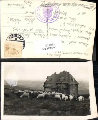 124910,Hotel Radegost na Radhosti Beskiden Schafe baude