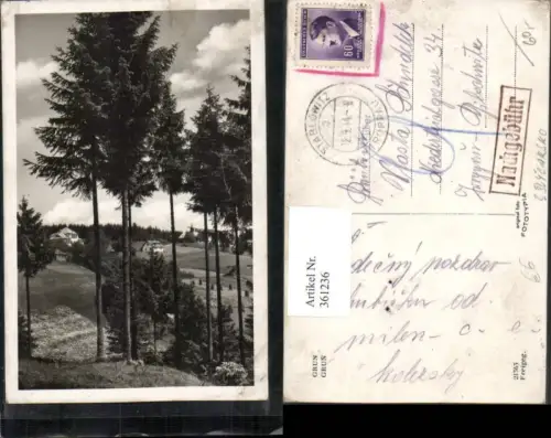 361236,Grun b. Stare Hamry Landschaft Kirche Bäume