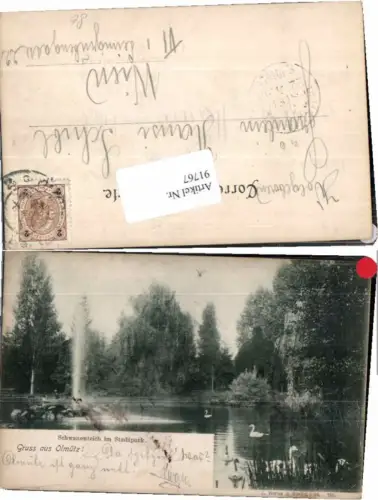 91767,Gruss aus Olmütz Stadtpark Schwanenteich 1899